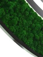 Зеркало LED Континент Forest D100x100 см с натуральным мхом
