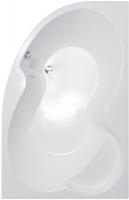 Ванна акриловая угловая Triton Мари 170x100 L
